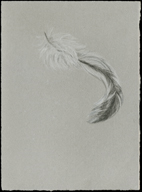 Feather