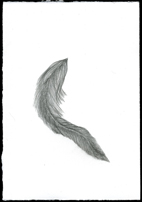 Feather