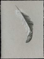 Feather