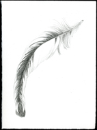 Feather